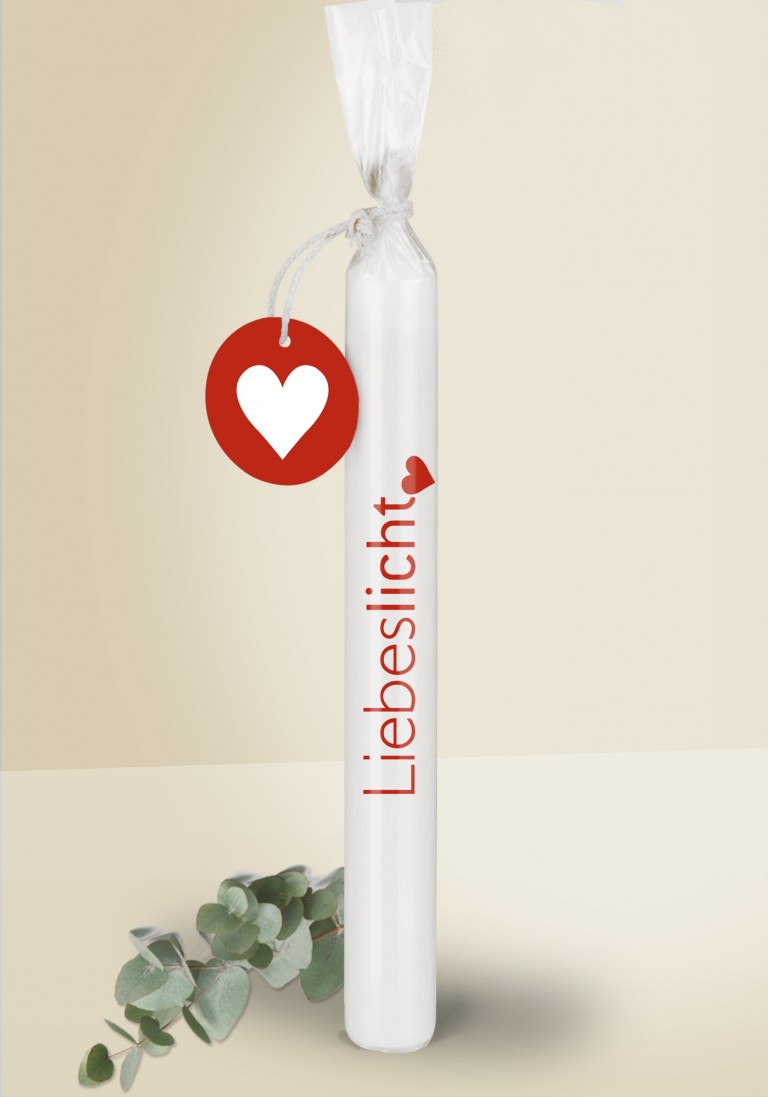 fluegel_wuenschelicht_1168_total_neu